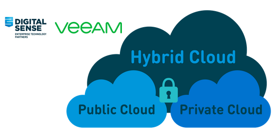 Hybrid Cloud Solutions to Safeguard Your Data | Digital Sense