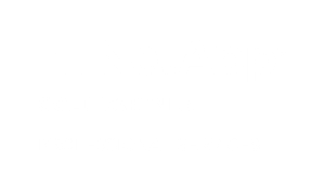 NetApp gold partner logo